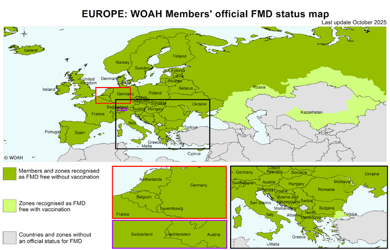 File:Fmd-europe-eng-2025 min.png