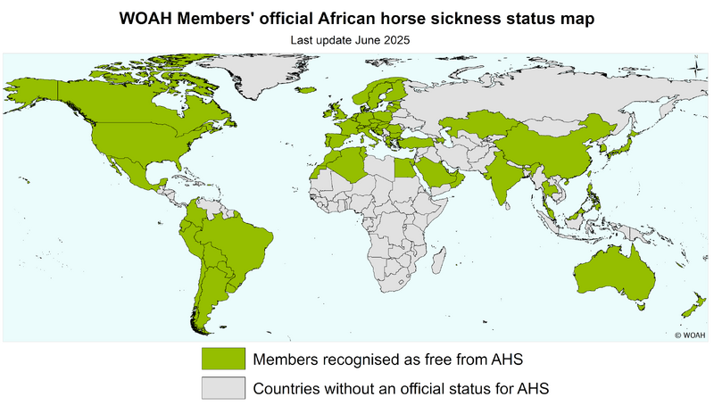 File:Ahs-world-eng-2025 min.png